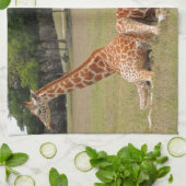 Linge De Cuisine Trois girafe à Fossil Rim (Plié)