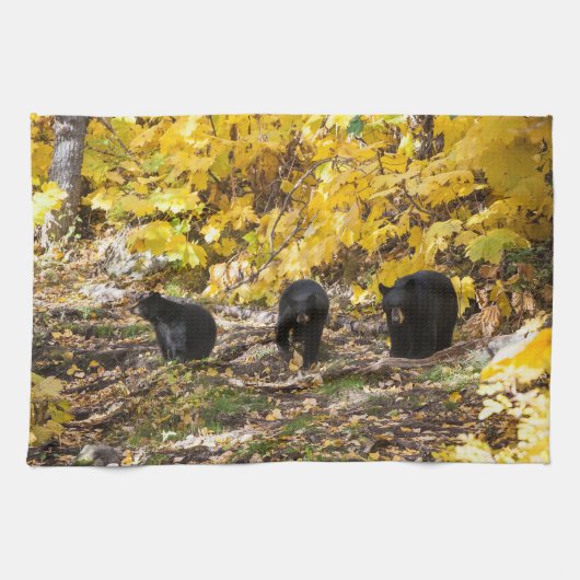 Linge De Cuisine Trois ours (Horizontal)