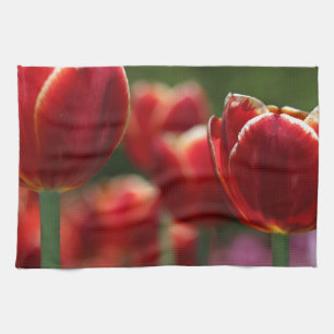 Linge De Cuisine Tulipes