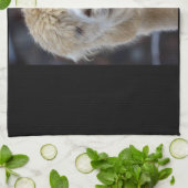 Linge De Cuisine Un joli visage moelleux d'un alpaga (Plié)