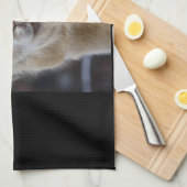 Linge De Cuisine Un joli visage moelleux d'un alpaga (Quart Plié)