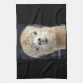 Linge De Cuisine Un joli visage moelleux d'un alpaga (Vertical)