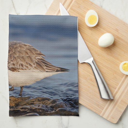 Linge De Cuisine Un Sanderling (Quart Plié)