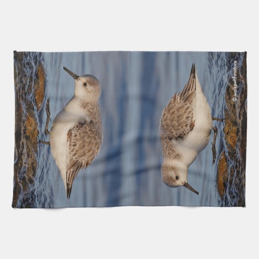 Linge De Cuisine Un Sanderling (Horizontal)