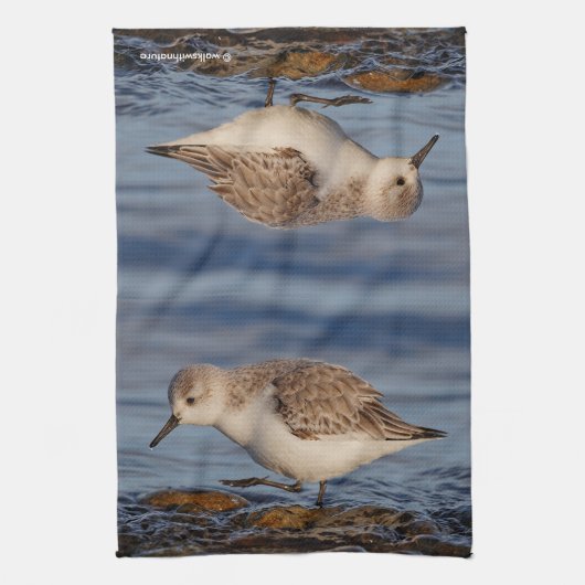 Linge De Cuisine Un Sanderling (Vertical)