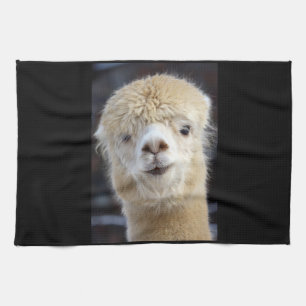 Linge De Cuisine Un visage mignon et duveteux d'alpaca