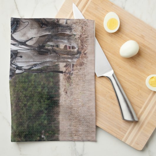 Linge De Cuisine Une équipe de Percheron (Quart Plié)