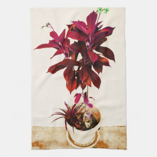 Linge De Cuisine Usine de Jatropha dans rouge-foncé
