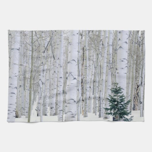 Linge De Cuisine UTAH. ÉTATS-UNIS. Tremble (Populus tremuloides) & (Horizontal)