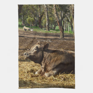 Linge De Cuisine Vache Brown Se Détendre À La Ferme,