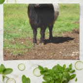 Linge De Cuisine Vache Laine Noire Et Blanche Galloway, (Plié)