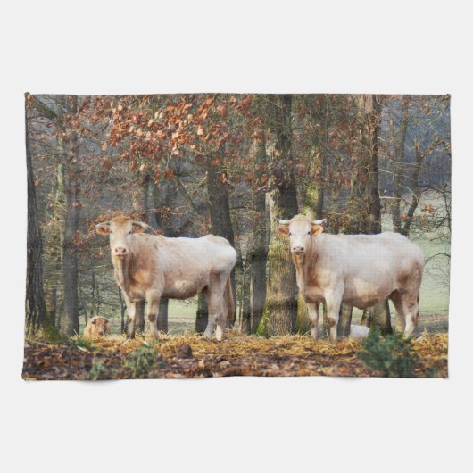 Linge De Cuisine Vaches en zone boisée (Horizontal)