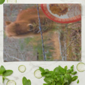 Linge De Cuisine Valentine Heart Miniature Brown Horse (Plié)