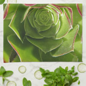 Linge De Cuisine Vert (Plié)