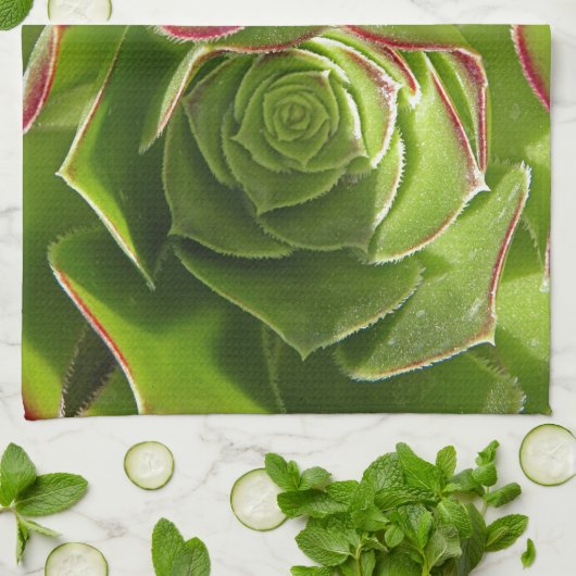 Linge De Cuisine Vert (Plié)