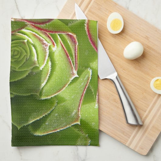 Linge De Cuisine Vert (Quart Plié)