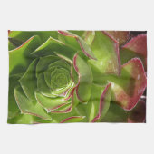 Linge De Cuisine Vert (Horizontal)