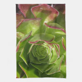 Linge De Cuisine Vert (Vertical)