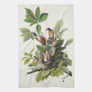 Linge De Cuisine Vintage Audubon Merle d'Amérique Art de Nid d'Oise