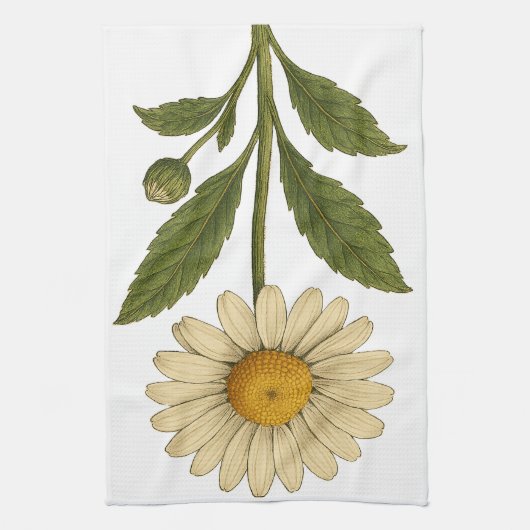 Linge De Cuisine Vintage Daisy (Vertical)