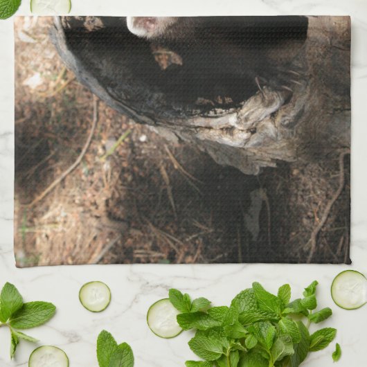 Linge De Cuisine Visage de furet (Plié)