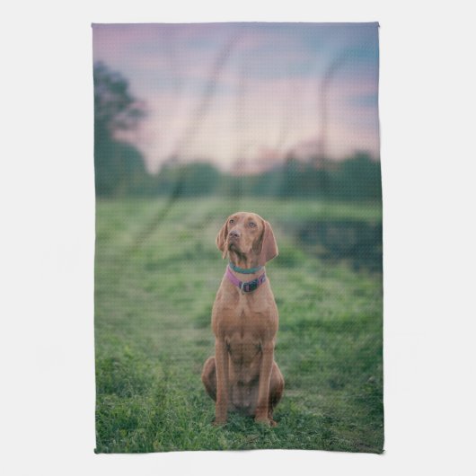 Linge De Cuisine vizsla assis (Vertical)