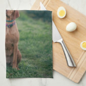 Linge De Cuisine vizsla assise (Quart Plié)