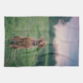 Linge De Cuisine vizsla assise (Horizontal)