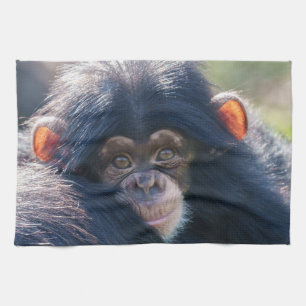 Linge De Cuisine Voyage du bébé chimpanzé