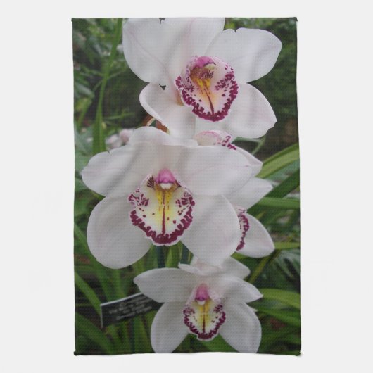 Linge De Cuisine White Orchids Beautiful Tropical Flowers (Vertical)