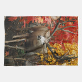 Linge De Cuisine Whitetail en automne (Horizontal)