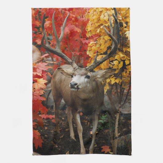 Linge De Cuisine Whitetail en automne (Vertical)