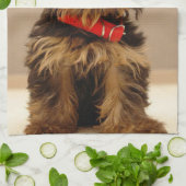 Linge De Cuisine Yorkshire Terrier (Plié)