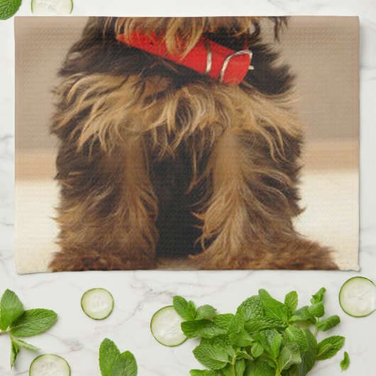 Linge De Cuisine Yorkshire Terrier (Plié)