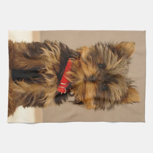 Linge De Cuisine Yorkshire Terrier (Horizontal)