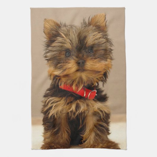 Linge De Cuisine Yorkshire Terrier (Vertical)
