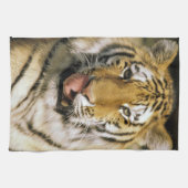 Linge De Cuisine Zoo de Tiger Michigan (Horizontal)