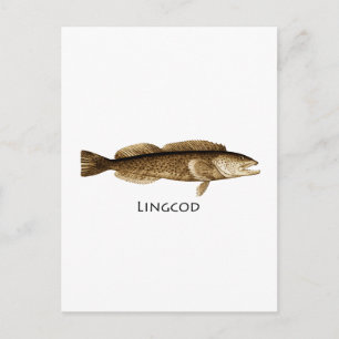 Lingkabeljauw Logo Briefkaart