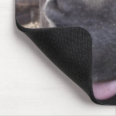 Linha Animal - Arre burriquito... Muismat (Hoek)