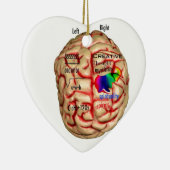 Linker- en rechterkant van het brein keramisch ornament (Rechts)