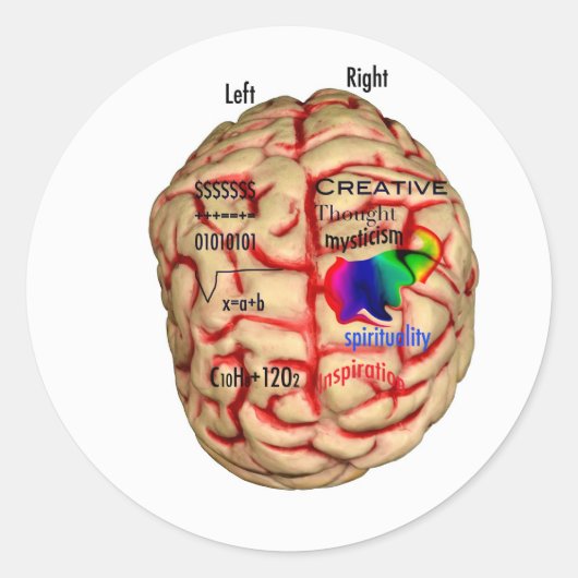 Linker- en Risht Side of Brain Ronde Sticker (Voorkant)