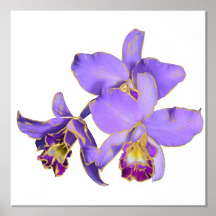 Linker Paars Orchid Group Print Poster