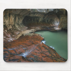 Linker Vork Zion National Park, Utah Muismat