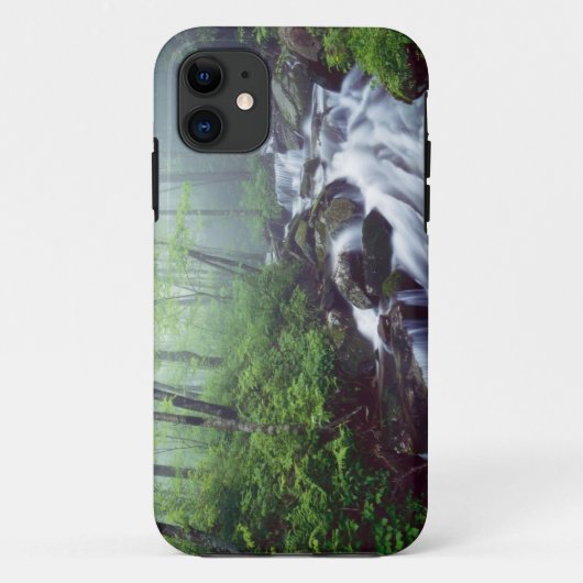 Linn Cove Creek stroomt door nevelige Case-Mate iPhone Case (Achterkant)