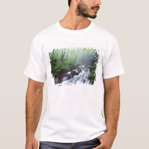Linn Cove Creek waterval door nevelige T-shirt
