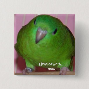 Linnie Paraket Button