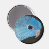 Linnie parkiet Magnet Magneet (Voorkant / Achterkant)