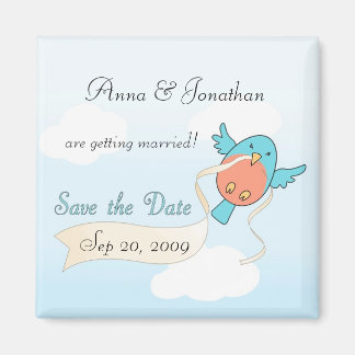 Lint in vlucht magneet