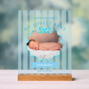 Lint lint pasgeboren babyjongen acryl bord