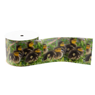 Lint van eendjes